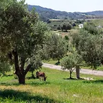 Belocations - Verdalma Con Piscina Privata * Villasimius