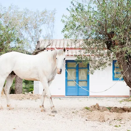 Belocations - Villa Verdalma Con Piscina Pirivata Villasimius