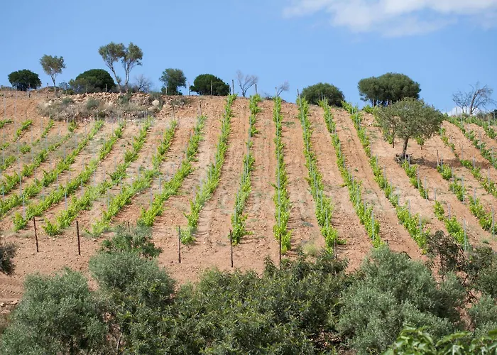 Belocations - Verdalma Con Piscina Pirivata *