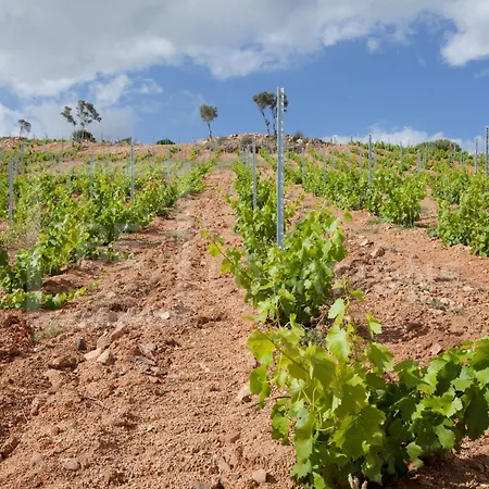 Belocations - Villa Verdalma Con Piscina Pirivata * Villasimius