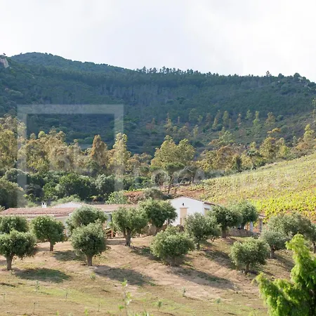 Belocations - Villa Verdalma Con Piscina Pirivata וילה וילסימיוס