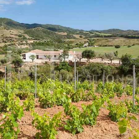 וילה Belocations - Villa Verdalma Con Piscina Pirivata *