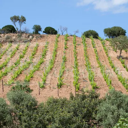 Belocations - Villa Verdalma Con Piscina Pirivata *