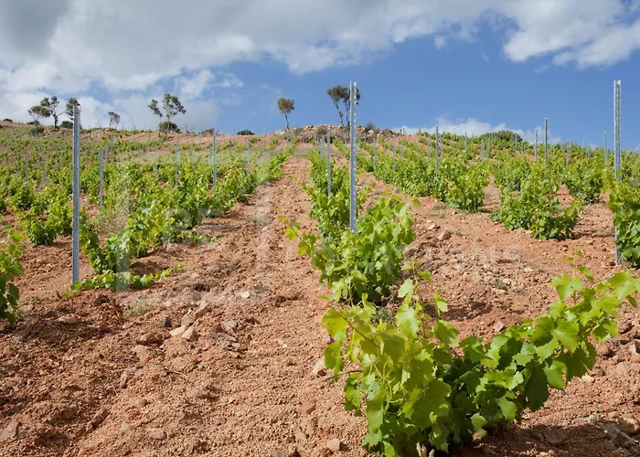 Belocations - Verdalma Con Piscina Pirivata * Villasimius