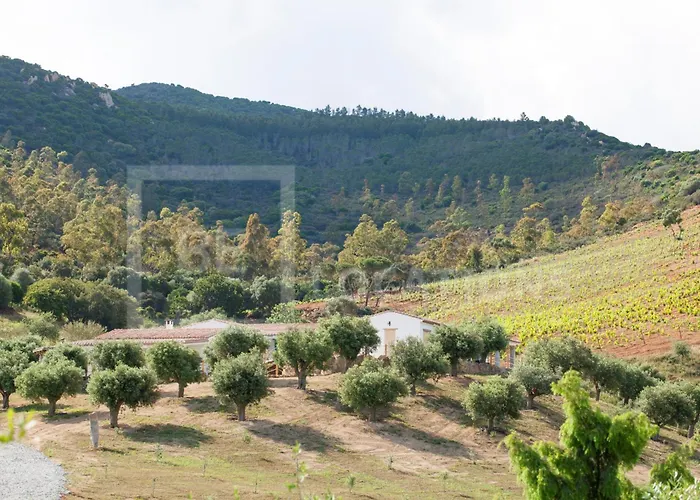 Belocations - Verdalma Con Piscina Pirivata Vila Villasimius