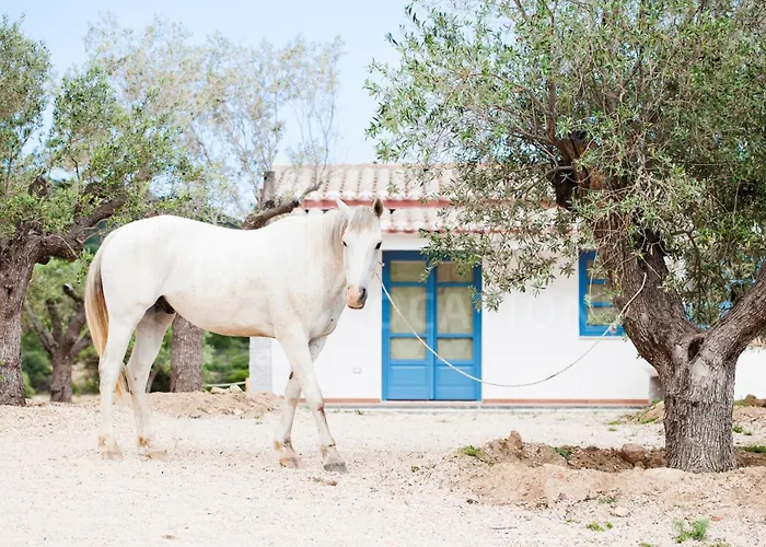 Belocations - Verdalma Con Piscina Pirivata ヴィラ *